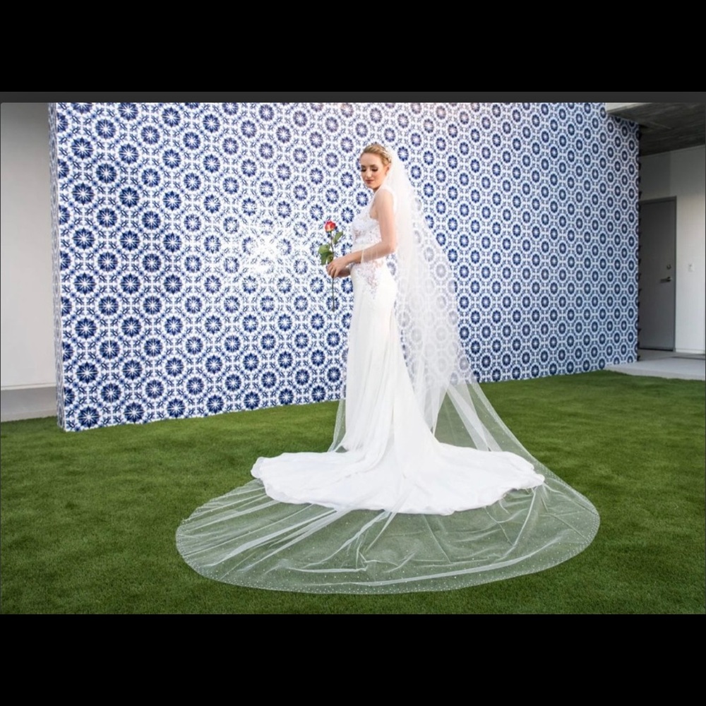 Beautiful scattered rhinestone veil royal cathedral length 120”